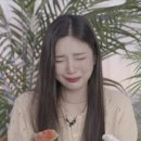조이노래