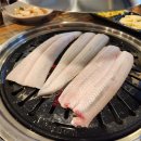 풍천장어 이미지