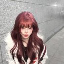 로즈미용실 이미지