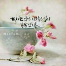 미송헤어샵