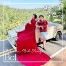 스윙 | 우붓 피치븐발리스윙후기 가격 위치 팁 주소 입장료 예약 시간 드레스