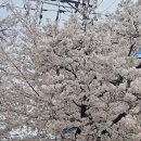 쌍문동 우이천 이미지