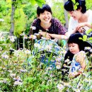 가을카페 - 미추홀구 석정로 437 | 가을카페