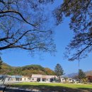 느티나무마을 | 공주 아이와캠핑 선돌느티나무 캠핑마을 — 4가지 매력과 숨은 가족 명소