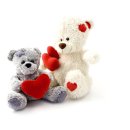 참결혼정보 이미지