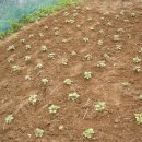 우복농장 이미지