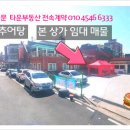 현커피숍 - 울릉군 울릉순환로 212-23 | 현커피숍
