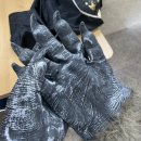 호떡당 경산하양점 | [일상/생각] 약대생의 일주일 3월 셋째주 (클라이밍, 망고, 데이트코스, 흑백사진관, 약학해부학실습)