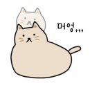 조이레코드