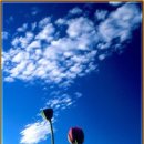 극락왕생 이미지