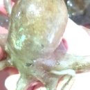 순길호 네이버블로그