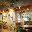 서초 프로포즈 카페대관 추천｜양재천 플라워카페 티파니 프라이빗 이벤트 공간대여 이미지