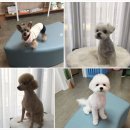 사랑으로동물병원 이미지