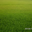 둔덕면보건지소 이미지