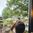 젤루느린달팽이 이미지