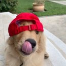 광양수영장 이미지