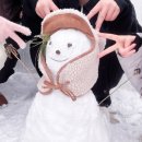 다시청춘민박 이미지