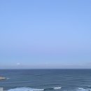 바다냉장고하 이미지