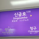 금호공원 앞 횡단보도 네이버블로그