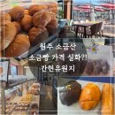 원주레일파크노동조합 | 원주 소금산 출렁다리 ! 간현유원지 소금빵 1800원 - 간현제빵소