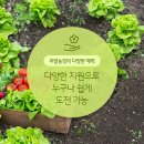 주말농장