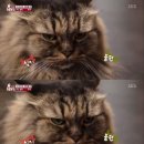 공세농장 이미지