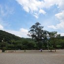 캠핑파크 이미지