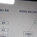 청평수련회의 역사는 언제부터 시작될까?(담당교육 일본어) 이미지