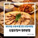 산골식당 | 원주 무실동 맛집 능라동길 식당 산골오징어 가격 주차 솔직후기