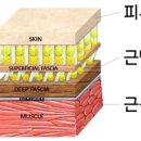 담에스테틱 이미지