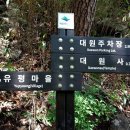 대원사 Daum카페