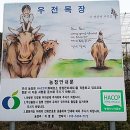 우전목장 네이버블로그