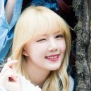 포카