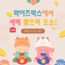 와이즈오소 이미지