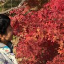 목포원조무진장꼬리곰탕 이미지