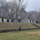 솔밭목장 이미지