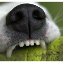 수색동물병원 이미지