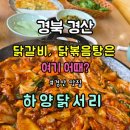 닭서리 | 경산맛집 "하양닭서리" 닭갈비 상세정보&amp;후기