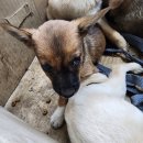 사리1리 경로당 이미지