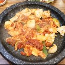 가야생오리 이미지