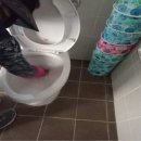 종합운동장 주경기장 이미지