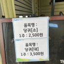 경명시장 | 서인천 농협 모종 시장 다녀왔어요~! 집에서 상추 심기