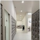 아레나 휘트니스 이미지