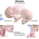 연신내경희한의원 이미지