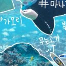 버블투어 이미지