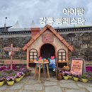해랑 어린이집 | 강릉 빵페스타 후기 주차 체험 아이와 다녀온 꿀팁