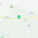 금덕무환자나무및팽나무군락 이미지