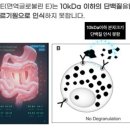 정샘동물병원 이미지