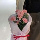 조이식물 이미지