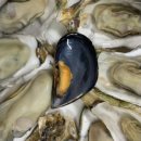 별다섯착한하우스 이미지